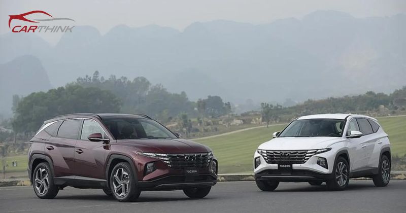 Nên chọn xe SUV hay CUV
